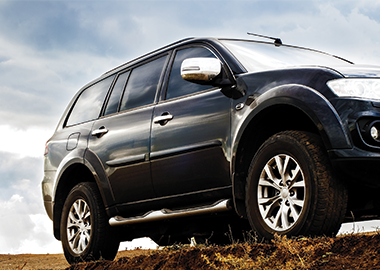 Side view of a dark SUV parked in a field with a cloudy sky in the background. 
