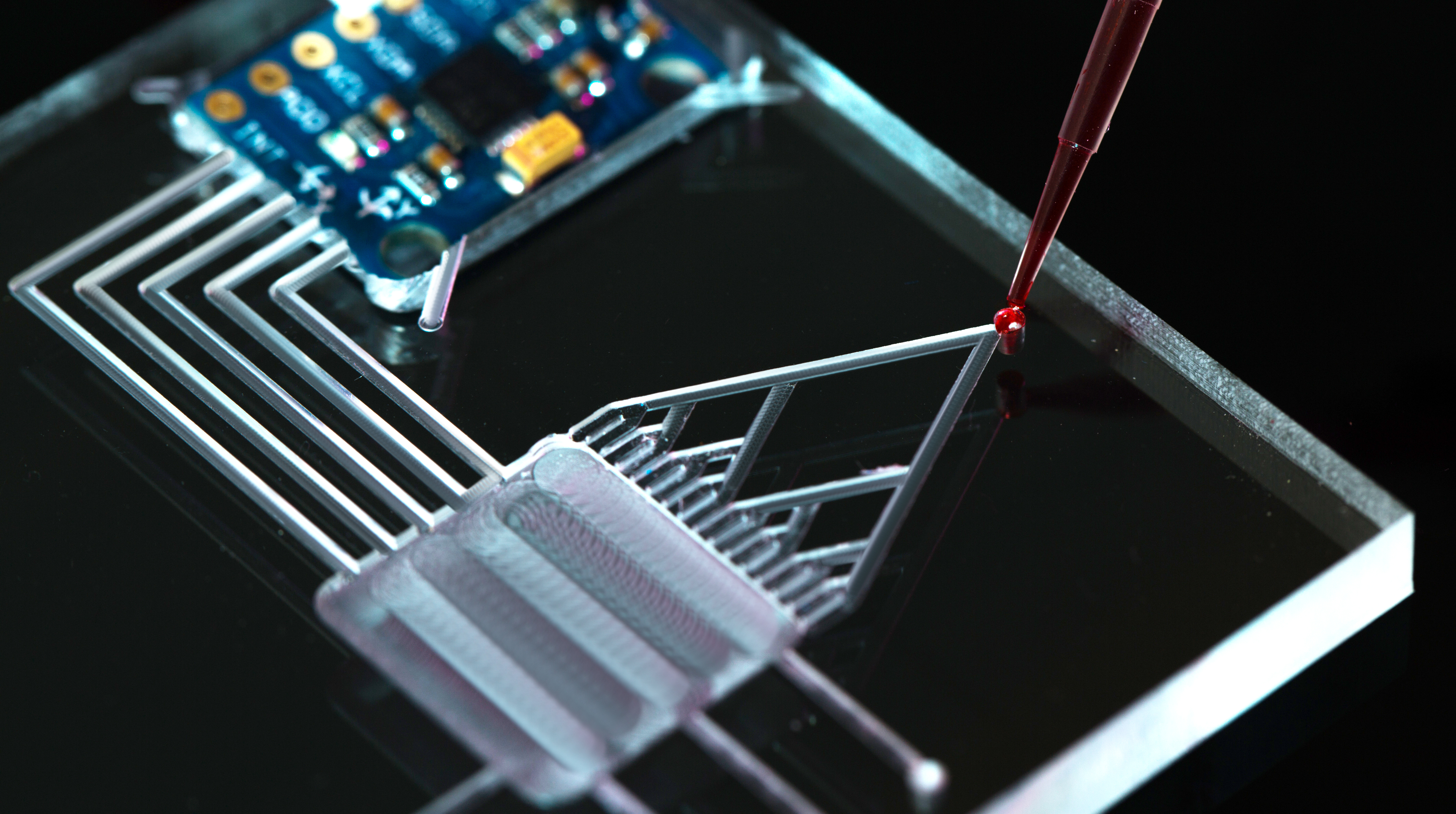 microfluidic chip