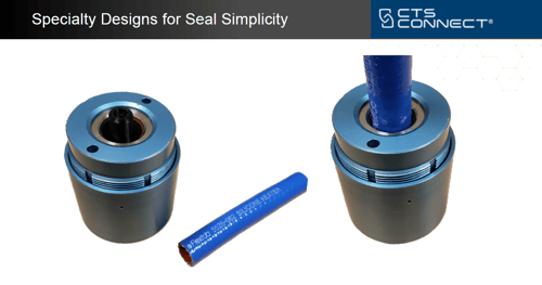specialty designs for seal simplicity