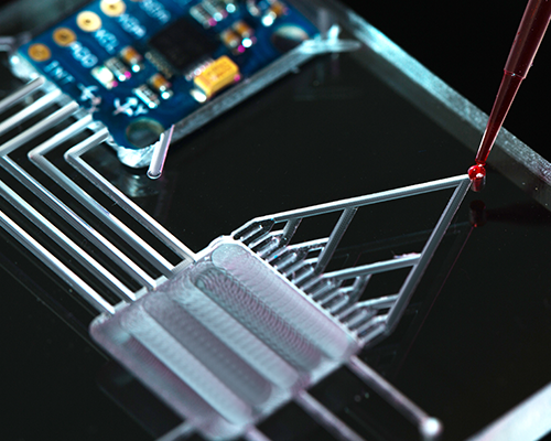 Microfluidic-chip