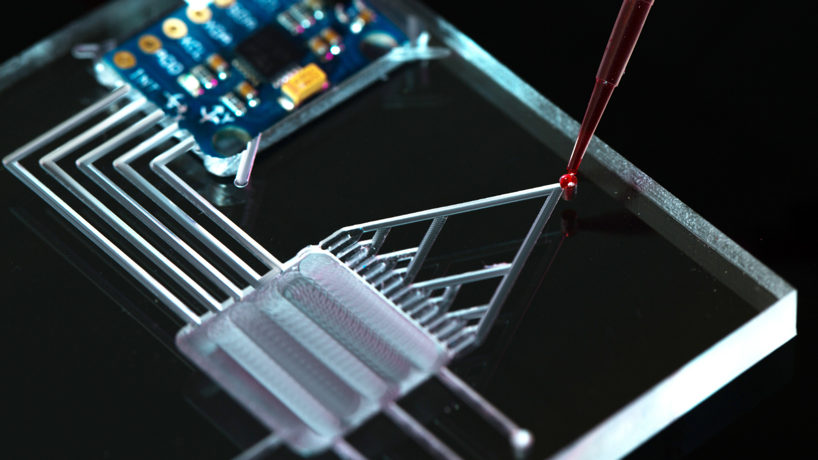 microfluidic-chips-tw